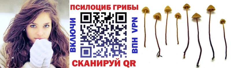 Галлюциногенные грибы MAGIC MUSHROOMS  Городовиковск 