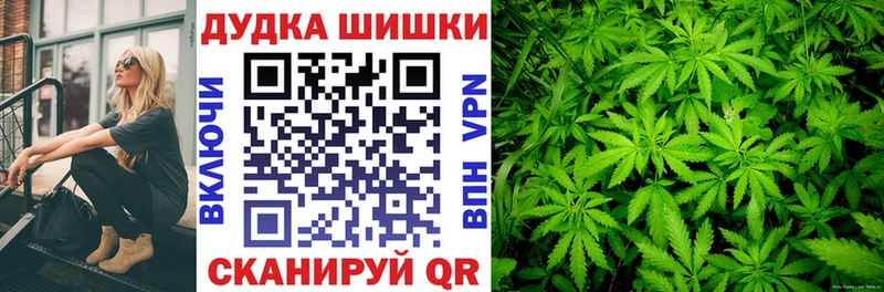 Конопля ГИДРОПОН  Городовиковск 